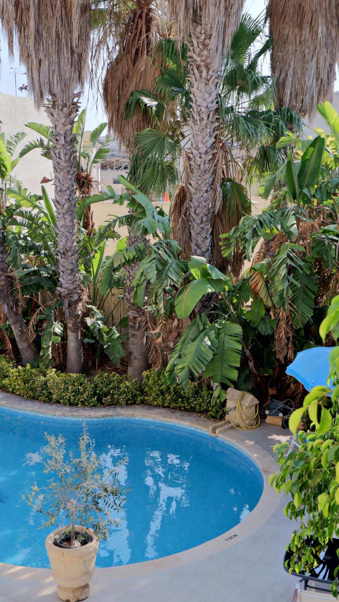 Village Knights Accommodation Zebbug  Exterior photo